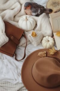Beret Hat Women: The Ultimate 2026 Style Guide side by side flat lay of a knit beret, felt beret, cloche, and fedora on a neutral background